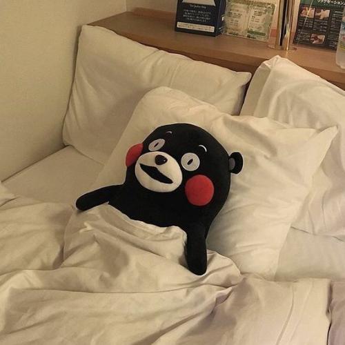 สมาชิกหมายเลข 5284773