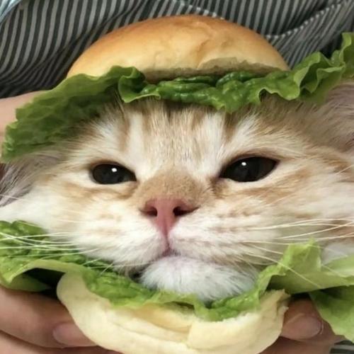 สมาชิกหมายเลข 7533480