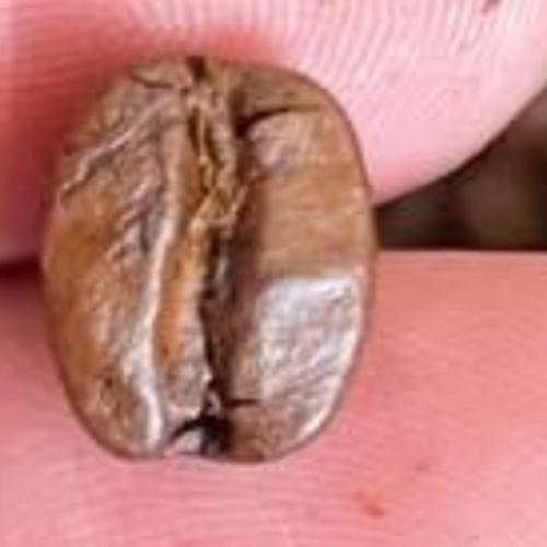 สมาชิกหมายเลข 7539649