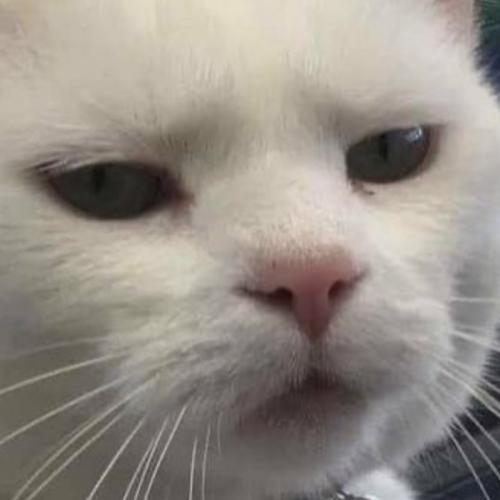 สมาชิกหมายเลข 7540145