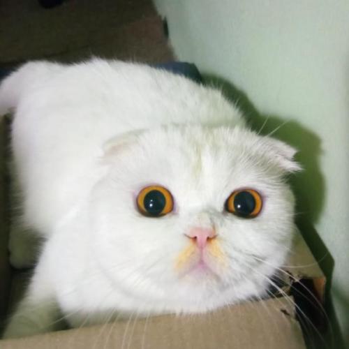 สมาชิกหมายเลข 7540452