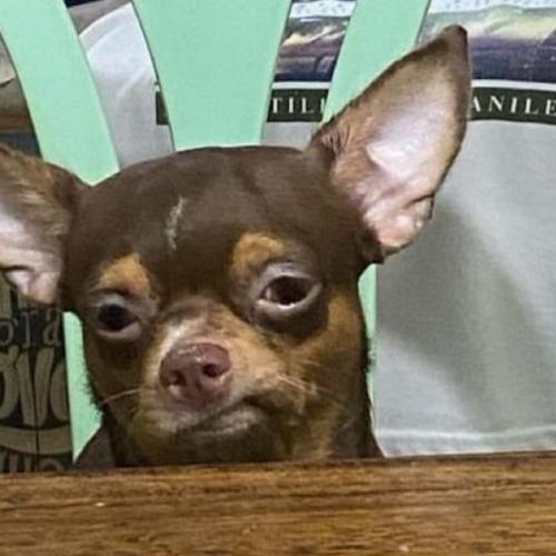 สมาชิกหมายเลข 8451461