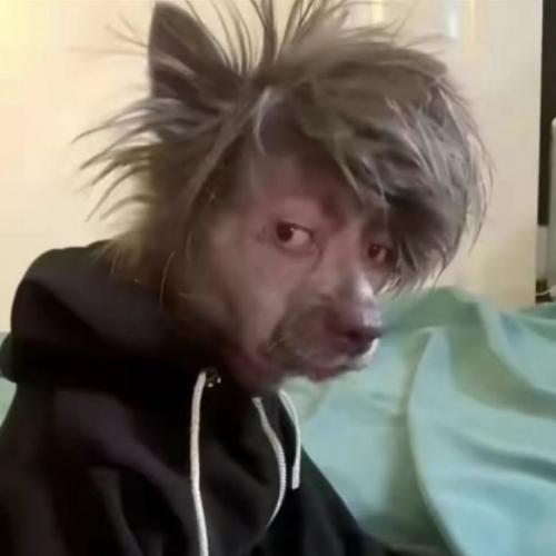 สมาชิกหมายเลข 8451678