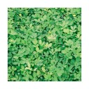 สมาชิกหมายเลข 3985775