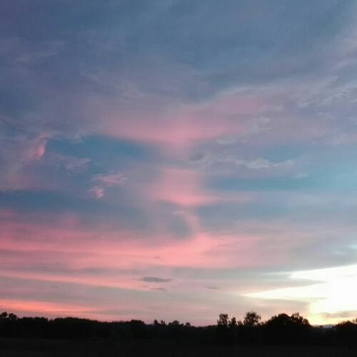 สมาชิกหมายเลข 4782145