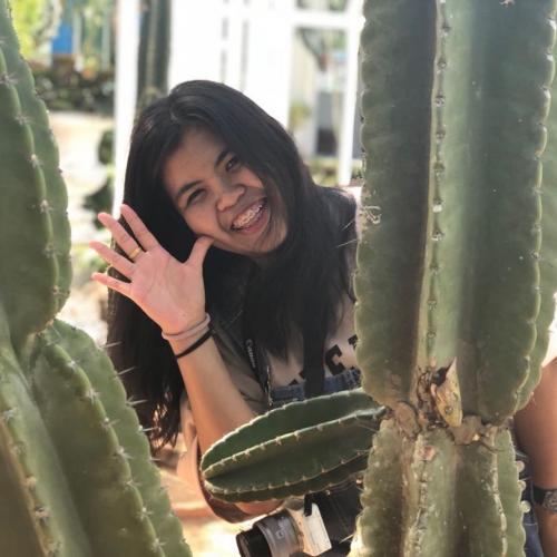 สมาชิกหมายเลข 3778305