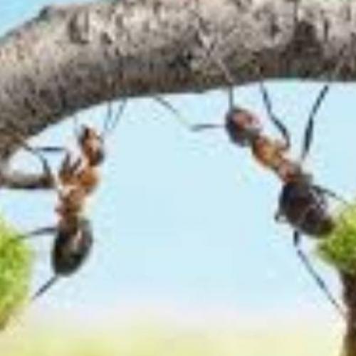 สมาชิกหมายเลข 5427359