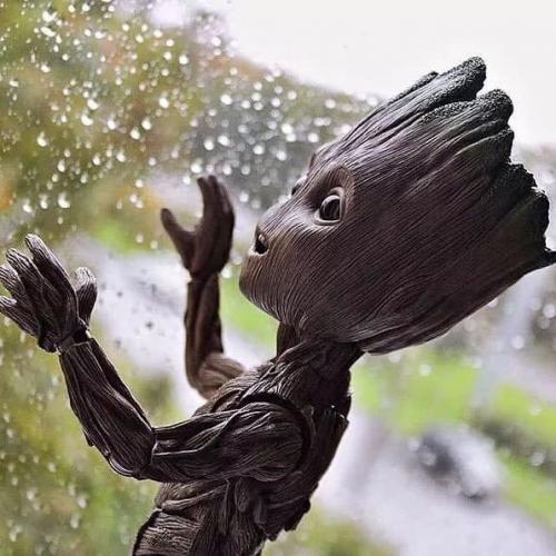 สมาชิกหมายเลข 5581949