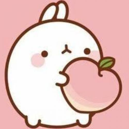 สมาชิกหมายเลข 5582389