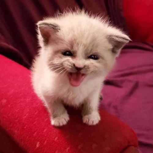 สมาชิกหมายเลข 5582464