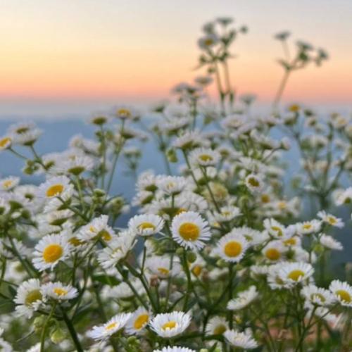 สมาชิกหมายเลข 820308