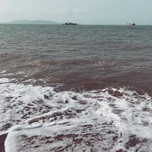 สมาชิกหมายเลข 7541303