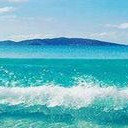 สมาชิกหมายเลข 4457481