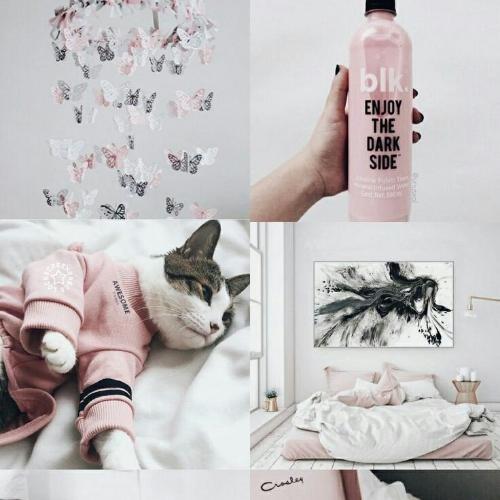 สมาชิกหมายเลข 4796232