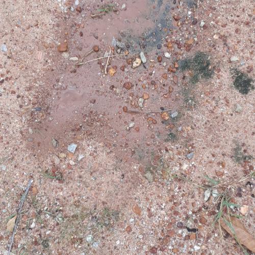 สมาชิกหมายเลข 5580212