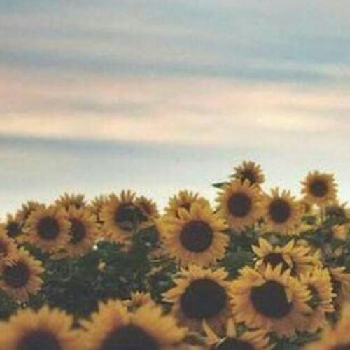 สมาชิกหมายเลข 5997814