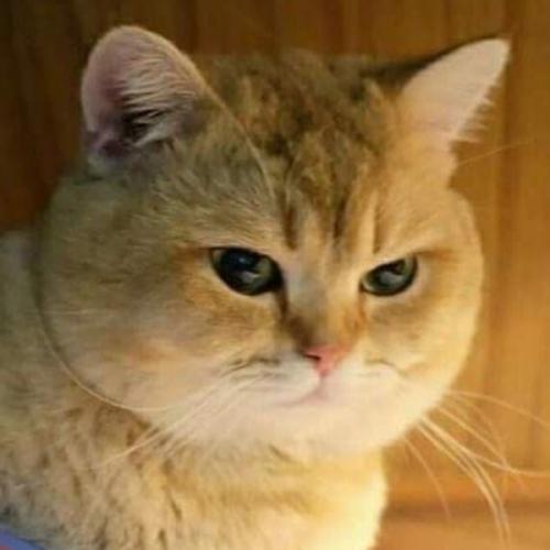 สมาชิกหมายเลข 6144572