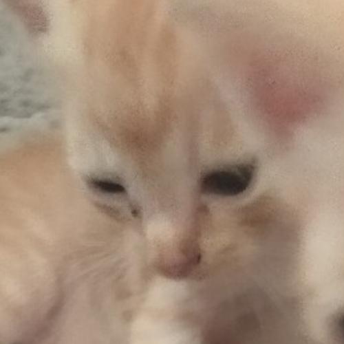 สมาชิกหมายเลข 5612225