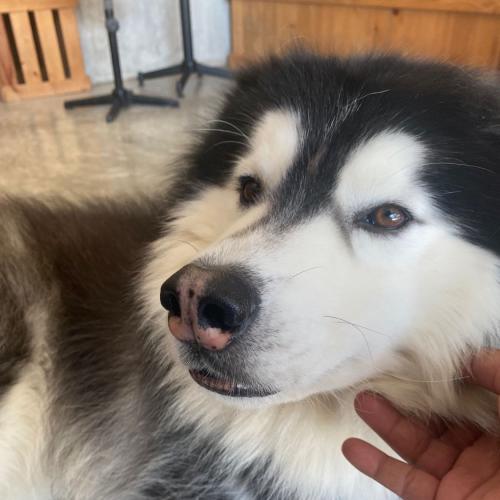 สมาชิกหมายเลข 6771406