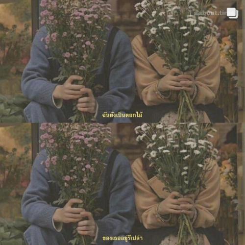 สมาชิกหมายเลข 7541946