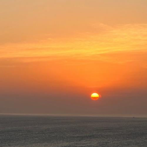 สมาชิกหมายเลข 3330212