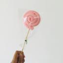 สมาชิกหมายเลข 2795454