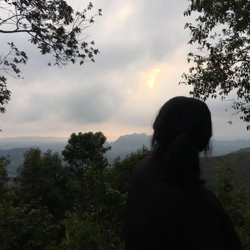 สมาชิกหมายเลข 4457121