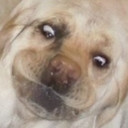 สมาชิกหมายเลข 4457545