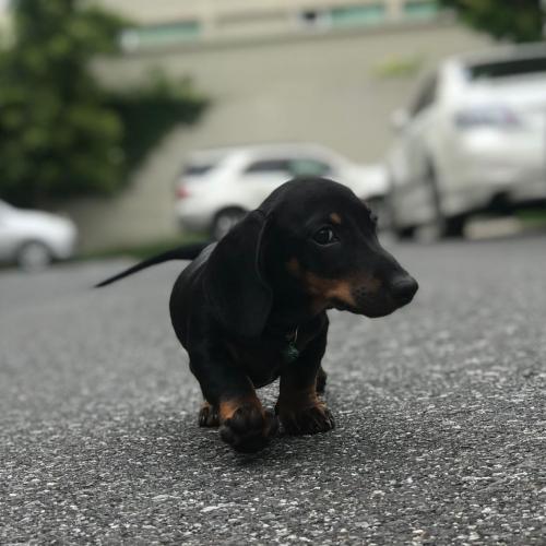 สมาชิกหมายเลข 2237234