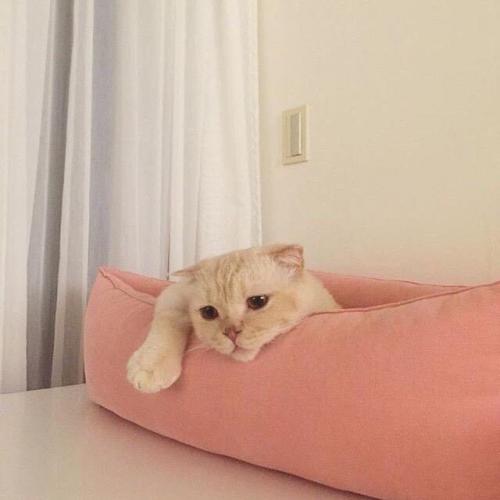 สมาชิกหมายเลข 3827490