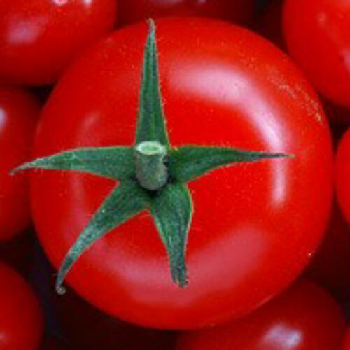 สมาชิกหมายเลข 4796459