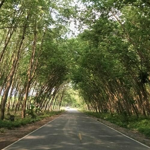 สมาชิกหมายเลข 4171721