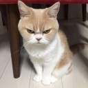 สมาชิกหมายเลข 5163083