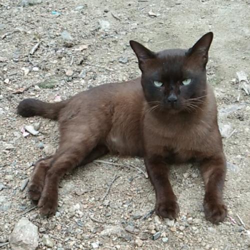 สมาชิกหมายเลข 5565902