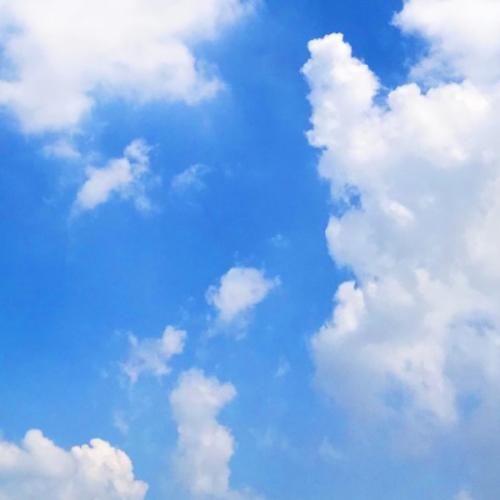 สมาชิกหมายเลข 5583078