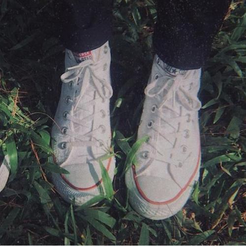 สมาชิกหมายเลข 6365302