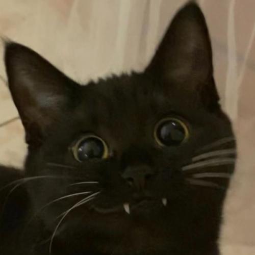 สมาชิกหมายเลข 6771649