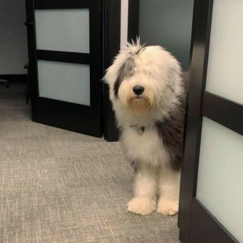 สมาชิกหมายเลข 6192343