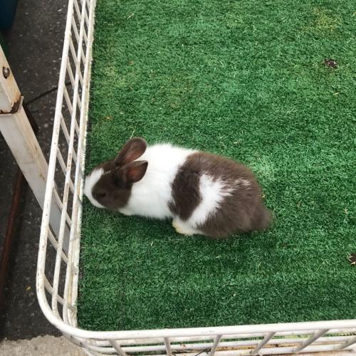 สมาชิกหมายเลข 7543171