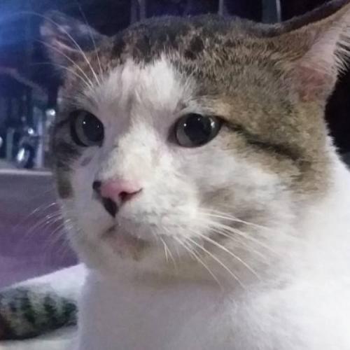 สมาชิกหมายเลข 7874108