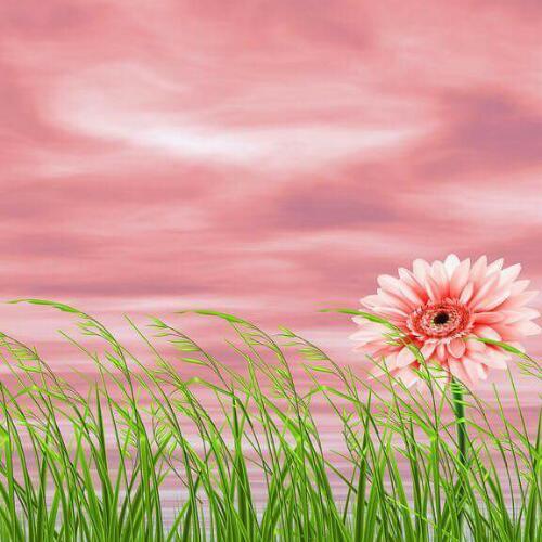 สมาชิกหมายเลข 4449988