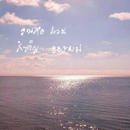 สมาชิกหมายเลข 5153732