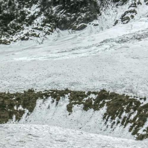 สมาชิกหมายเลข 5176982