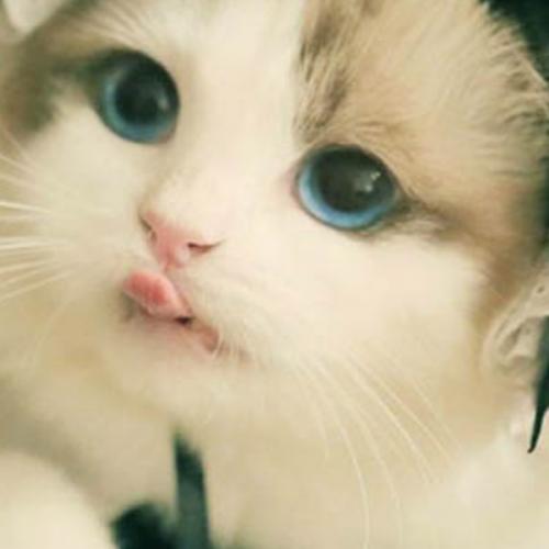 สมาชิกหมายเลข 5583889