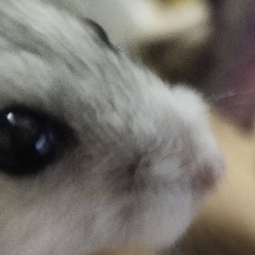 สมาชิกหมายเลข 6145769