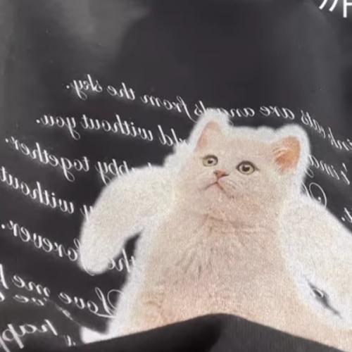 สมาชิกหมายเลข 6772659