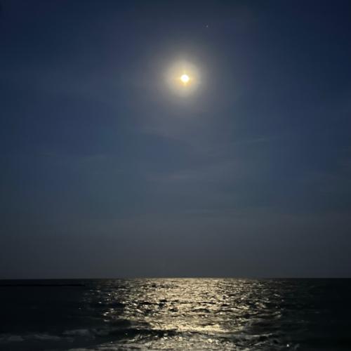 สมาชิกหมายเลข 7235707