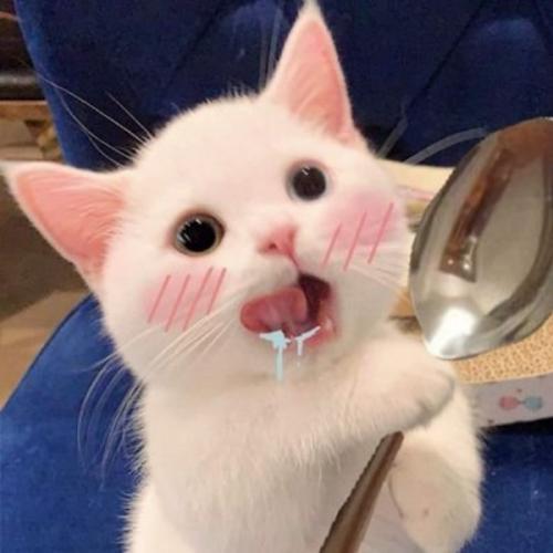 สมาชิกหมายเลข 4505781