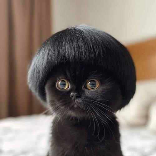 สมาชิกหมายเลข 5299264