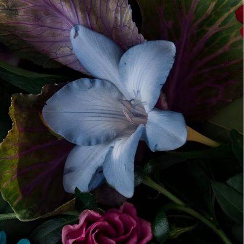 สมาชิกหมายเลข 6757628